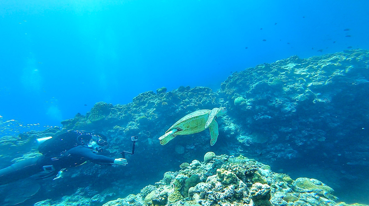 沖縄の海を満喫したい方へ